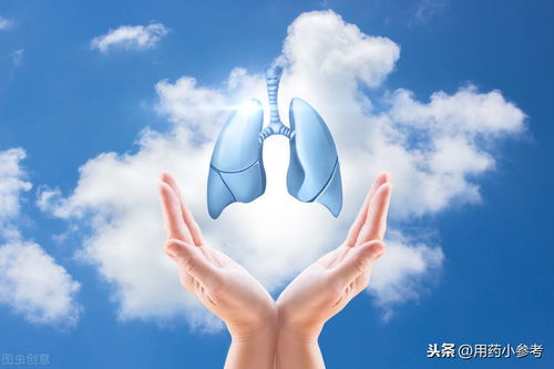 好肺好健康，日常生活中護肺良方
